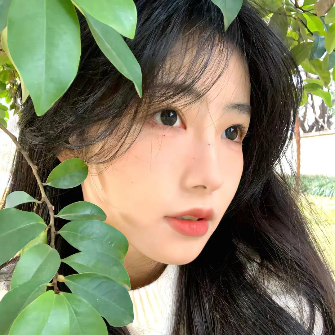 《通灵妃》封面